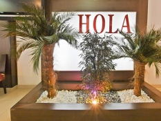 hola-oliva-500