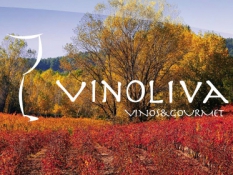 vinoliva-500