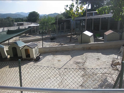 vedama-1-500 vedama-1-500