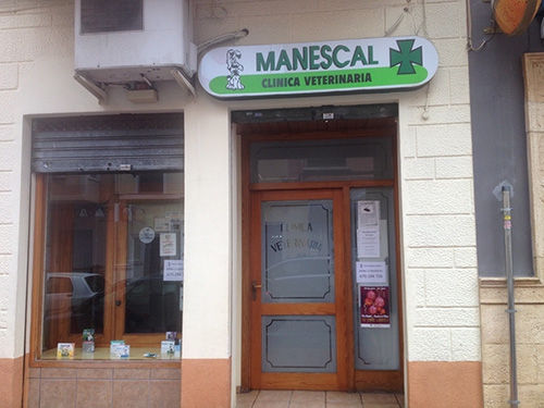 manescal-500 manescal-500