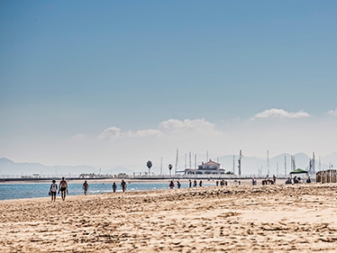 Portada-Terranova-500 Portada-Terranova-500