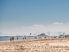 Portada-Terranova-500