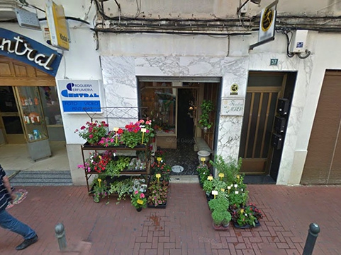 floristeria-morera-500 floristeria-morera-500